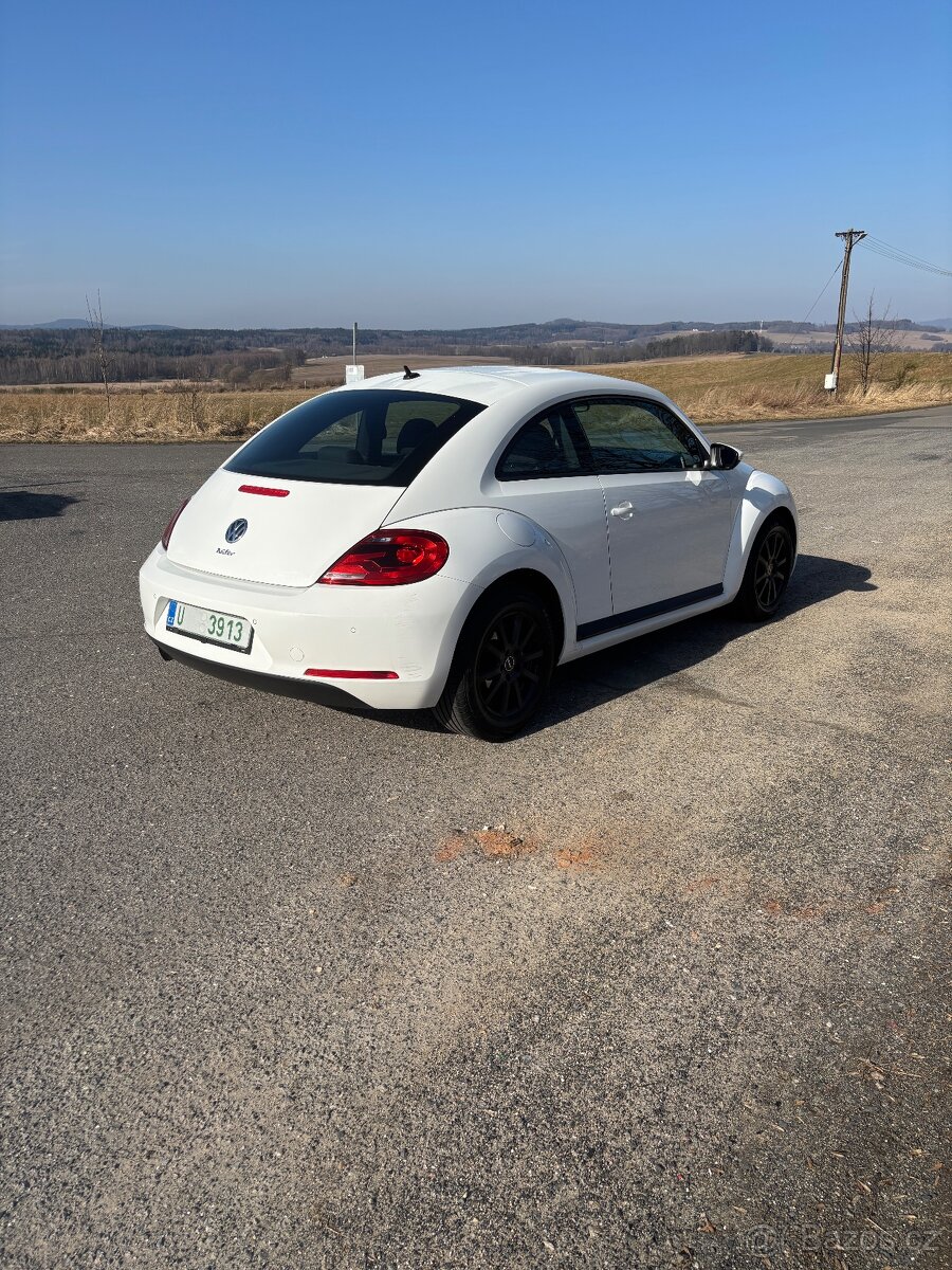 Vw beetle - 3