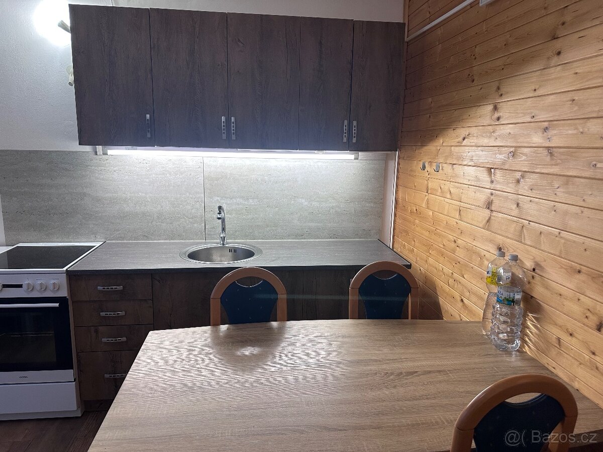 Pronájem bytu 1+1 - 3