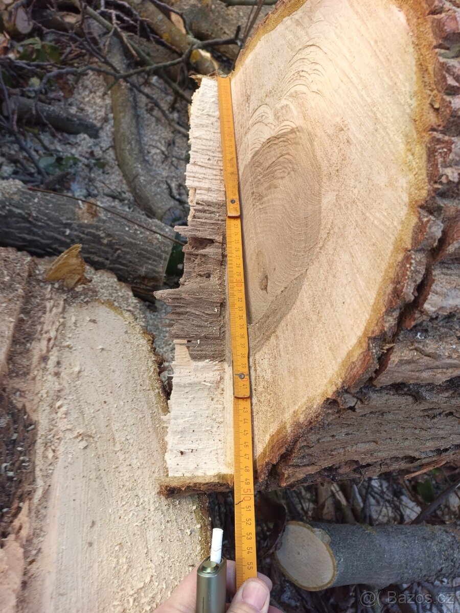 Ořechové dřevo - 3