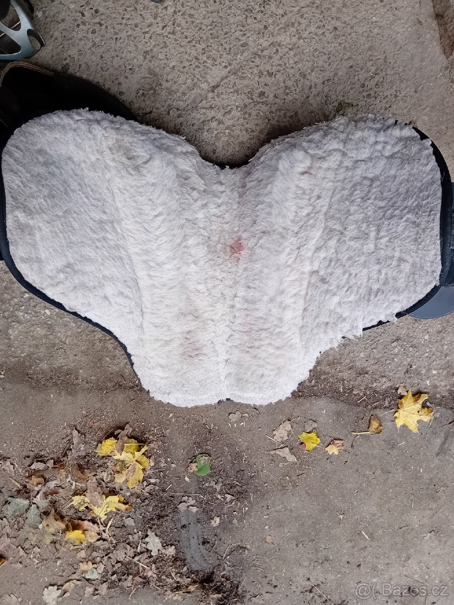 Barefoot Cheyenne - 3