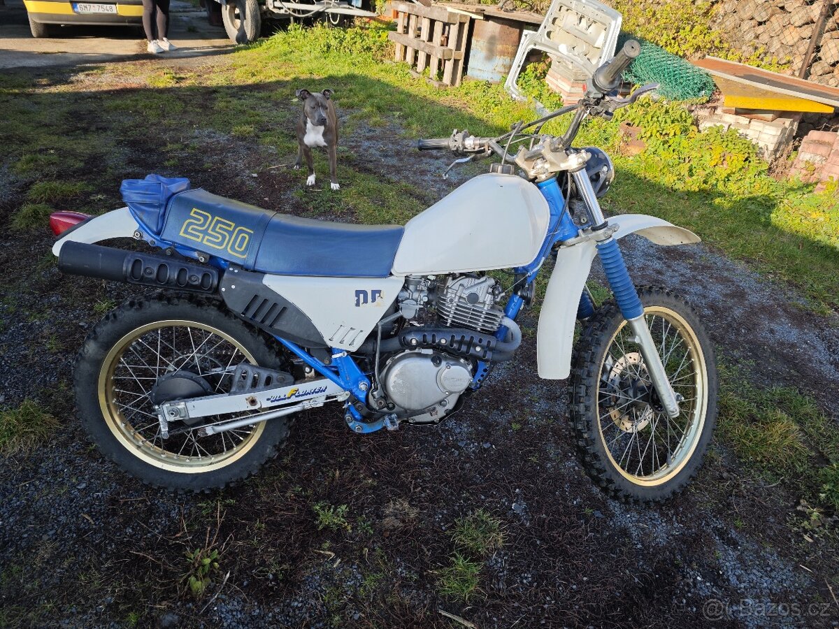 Dr 250 bez tp a spz