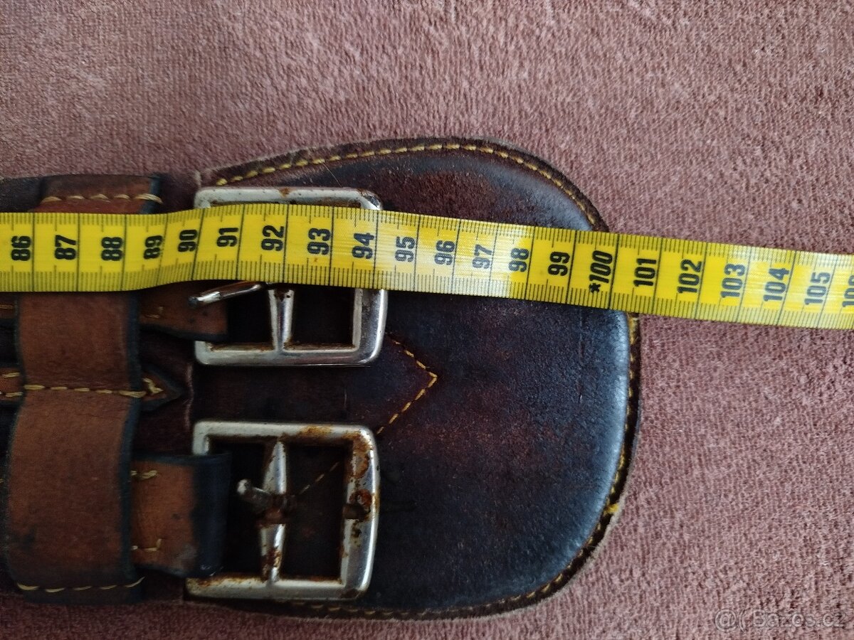 Podbřišník australský - 3