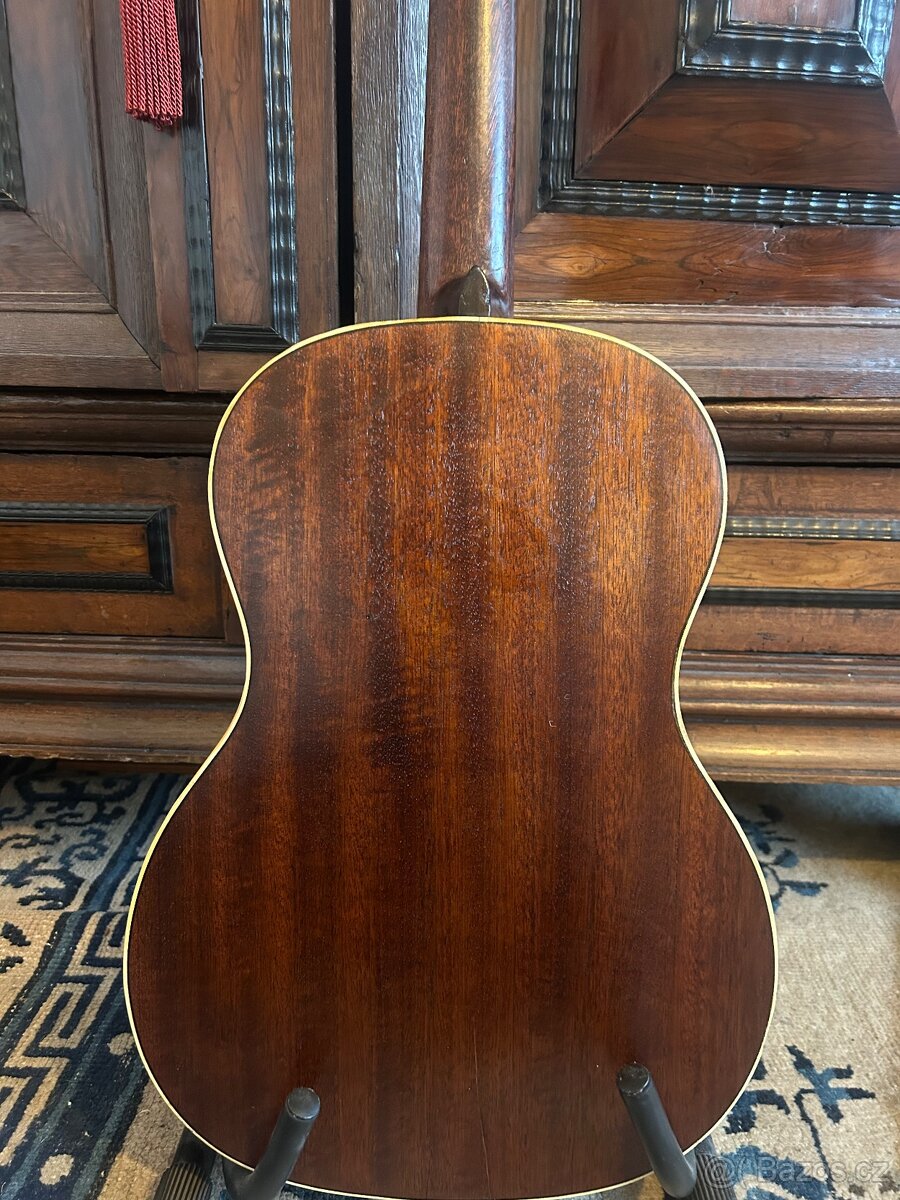 Martin Coletti G40 Masiv - 3