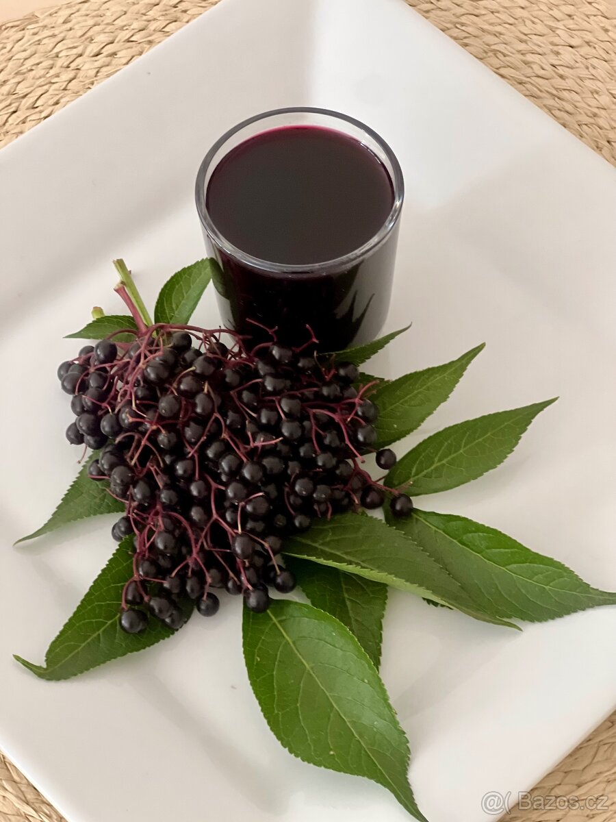 Čerstvý domácí bezinkový likér - 3