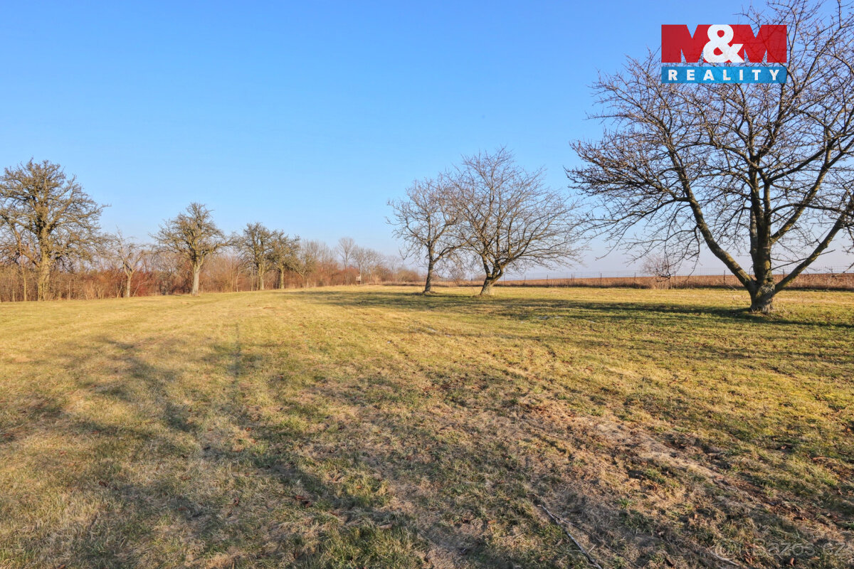 Prodej ovocného sadu, 8245 m², Miskovice - 3