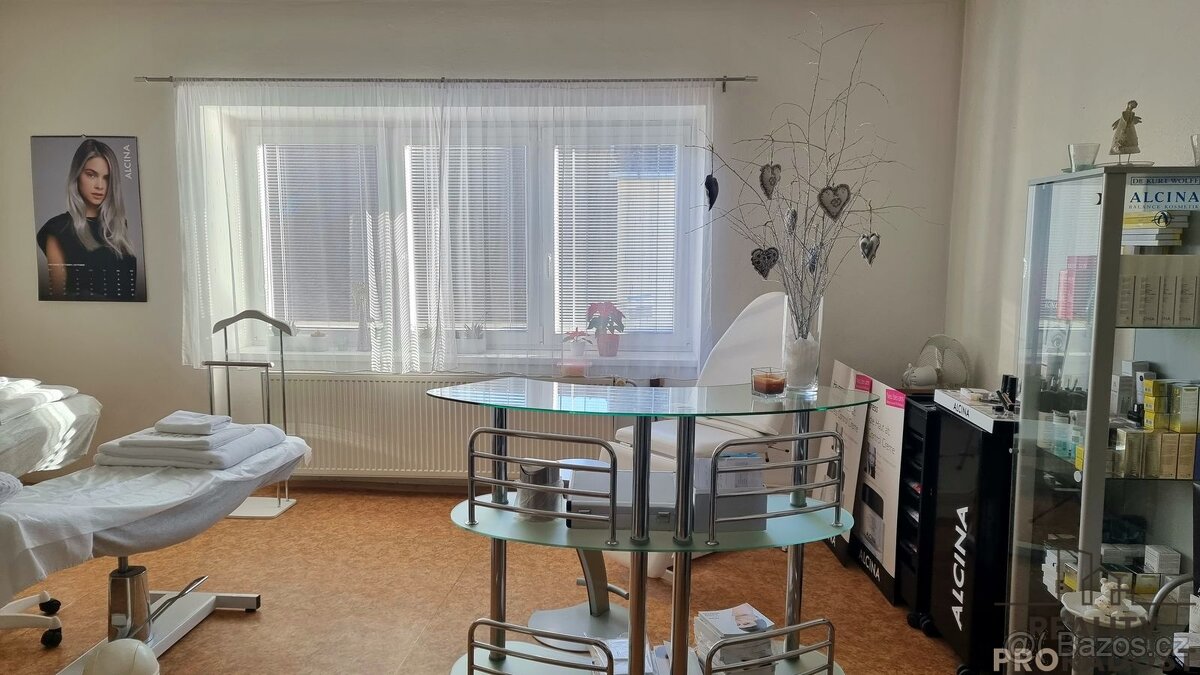 Pronájem Komerčních prostor 27 m2 - 3