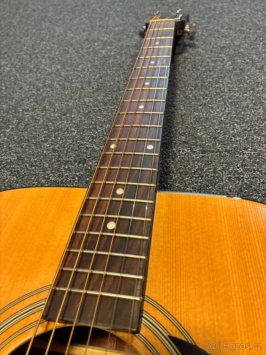 Epiphone Songmaker DR-100 Square Shoulder NA - 3