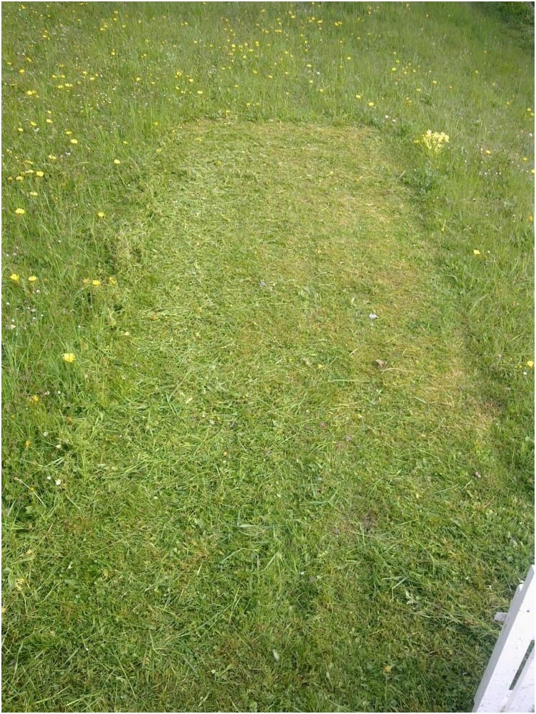 Pronájem stavebního oploceného pozemku CELKEM 2 MÍSTA - 3