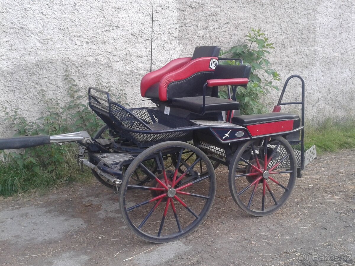 Maratoňák - koně, pár Kuhnle - 3