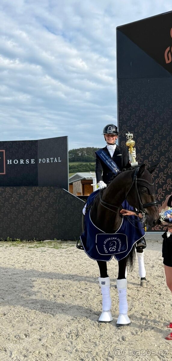 10ti letý černý KWPN valach po Glamourdale - 3