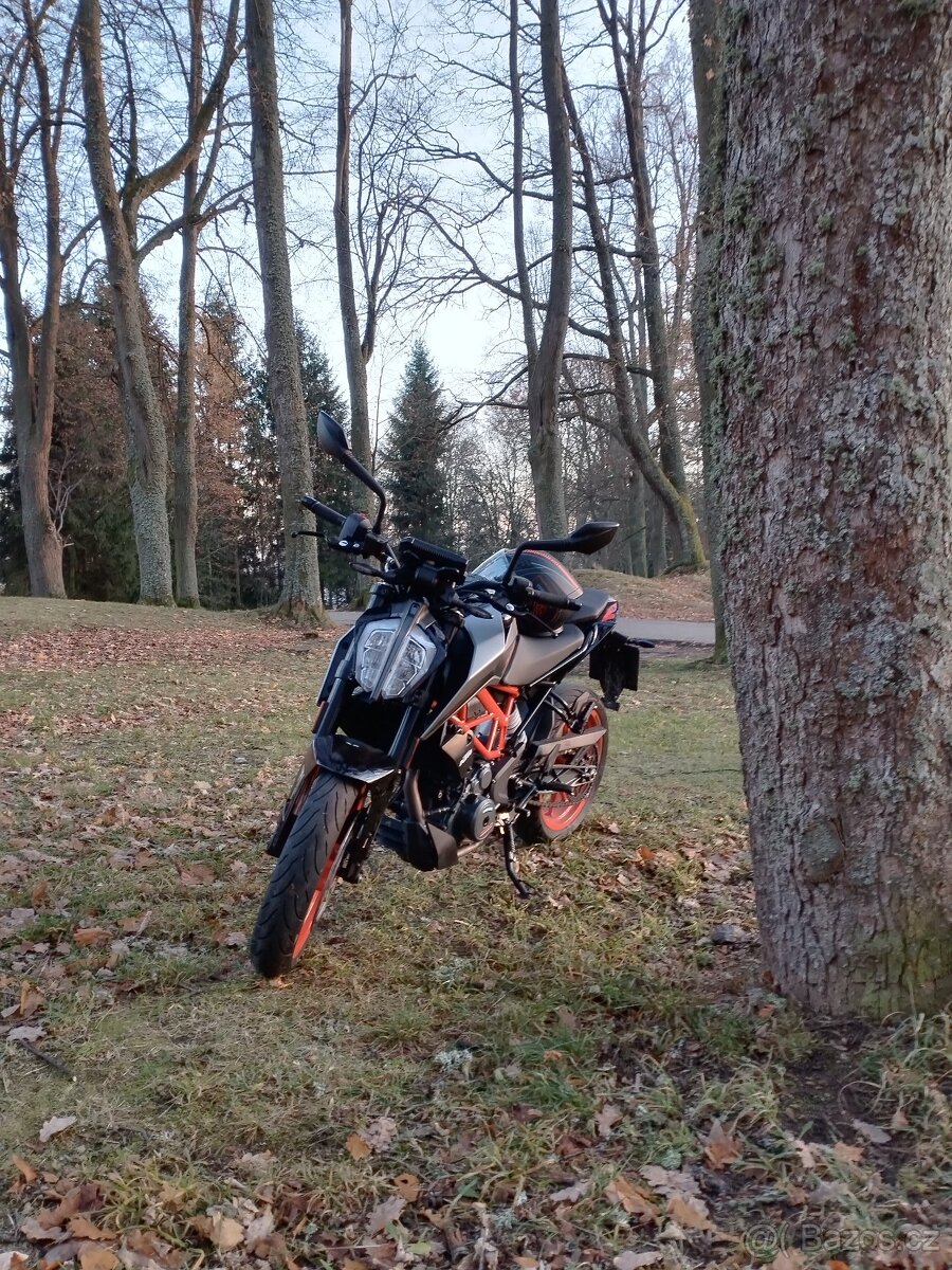 KTM DUKE 390(23) - 3