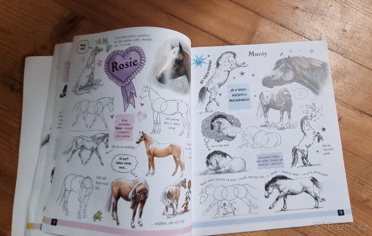 Kniha KRESLÍME PONÍKY - 3