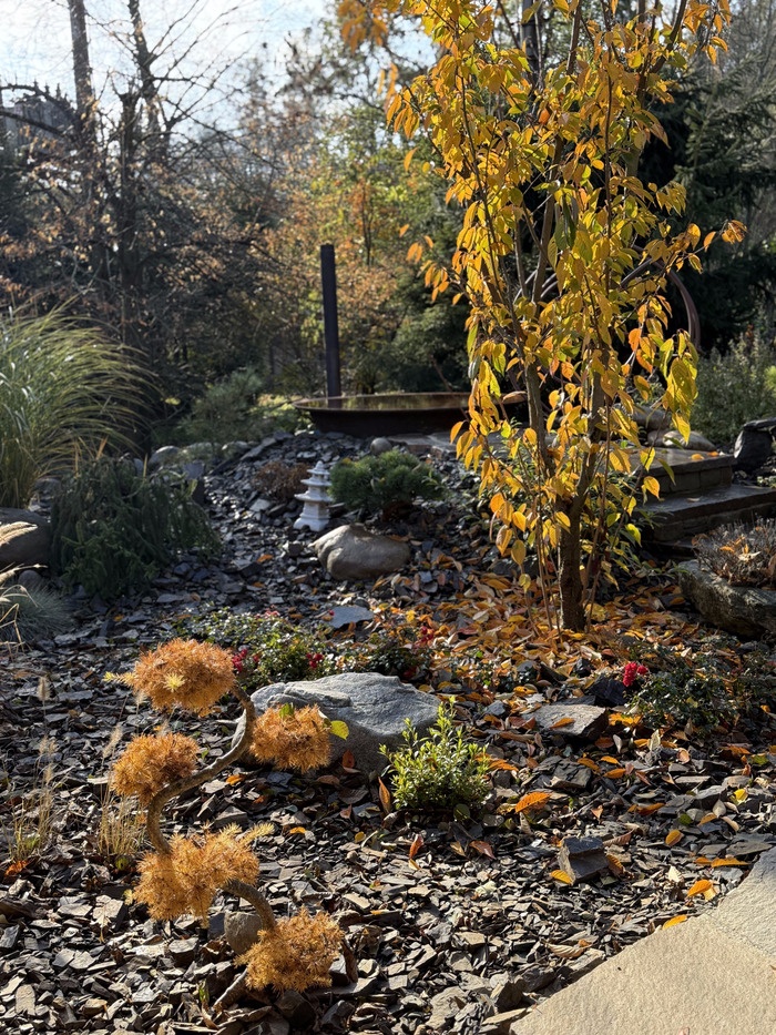 Relax v čanu s pobytem v jurtě - 3