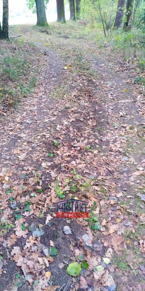 Jedinečná investiční příležitost - lesní pozemek u rybníků, - 3