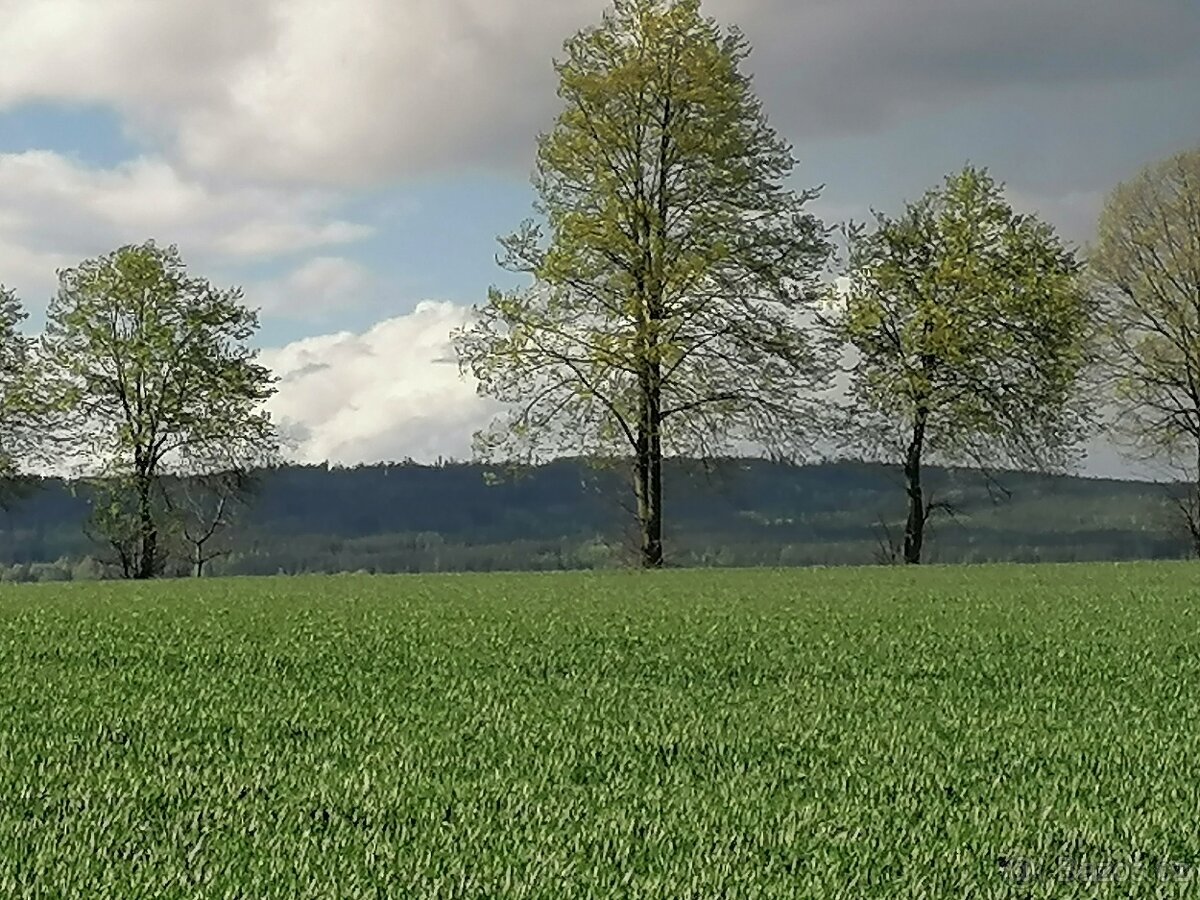 Nejvýhodnější investice již od 350 000 Kč pro Vás - 3