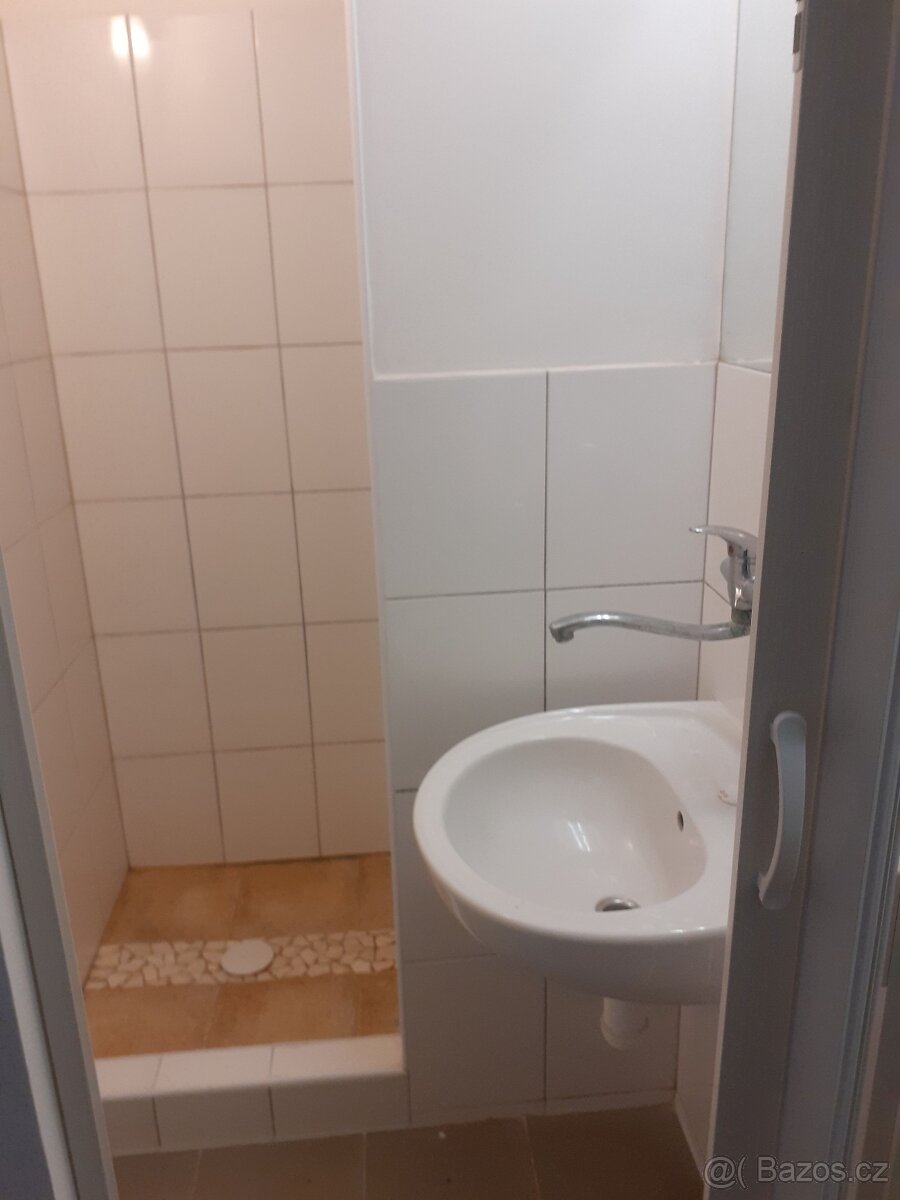 Pronájem nebytového prostoru 1+1 Uh.Hradiště - 3