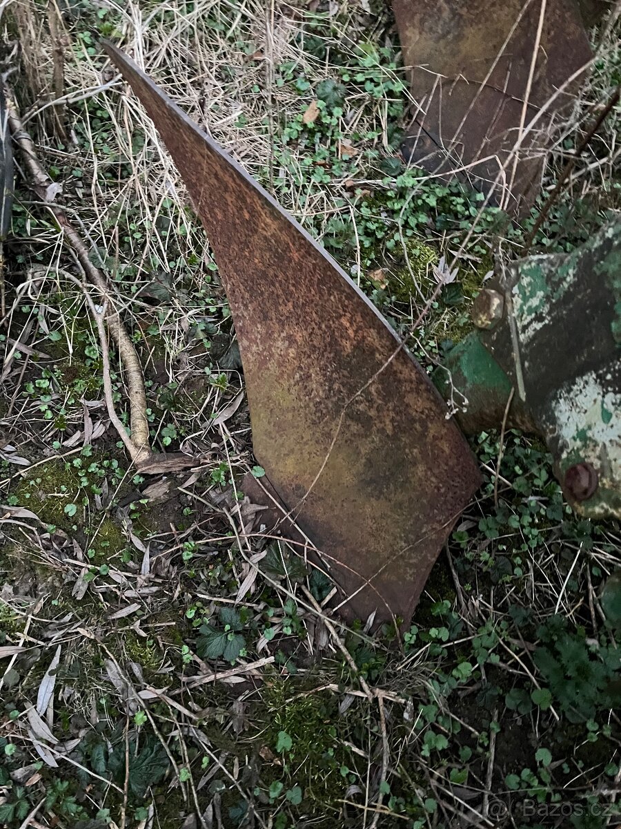 Pluh dvouradličný - 3