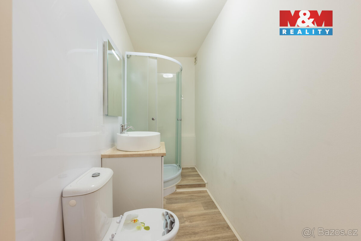 Prodej nebytového prostoru, 49 m², Praha, ul. Bělohorská - 3