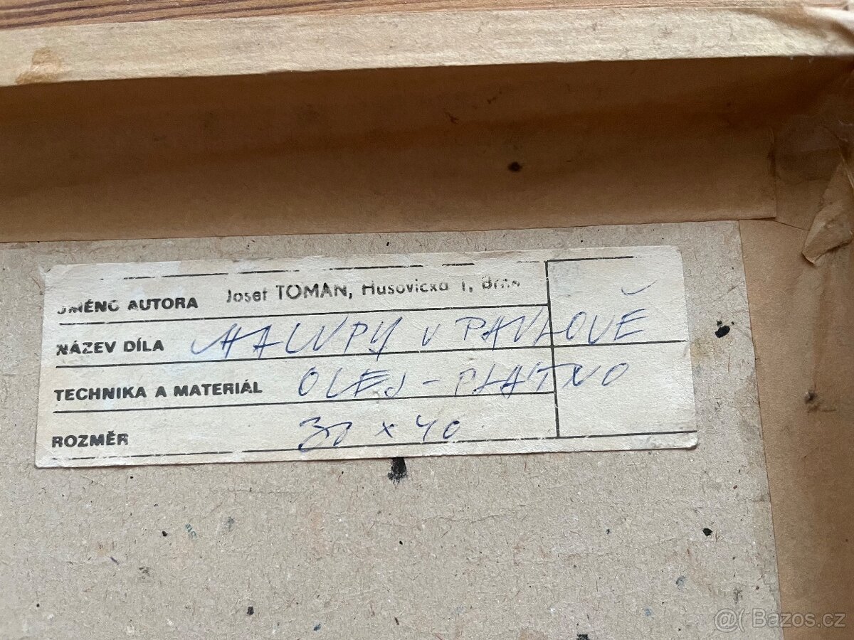 Krásný obraz vesnice malovaný - 3