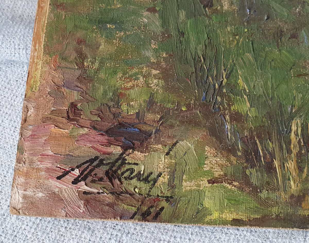 Originální obraz bez rámu krajinka, Vraný, 50x38cm - 3