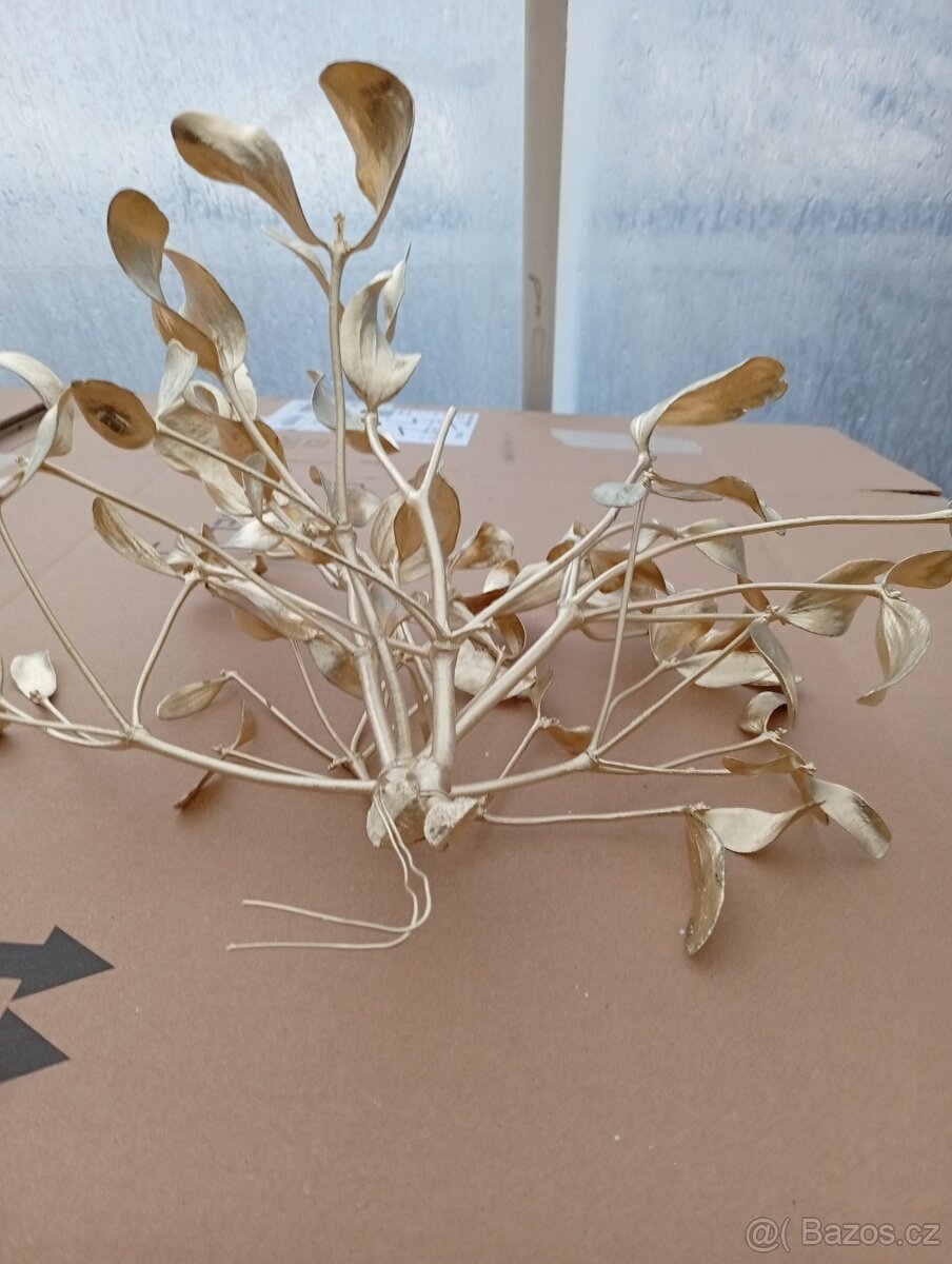 Jmelí zlaté prodam - 3