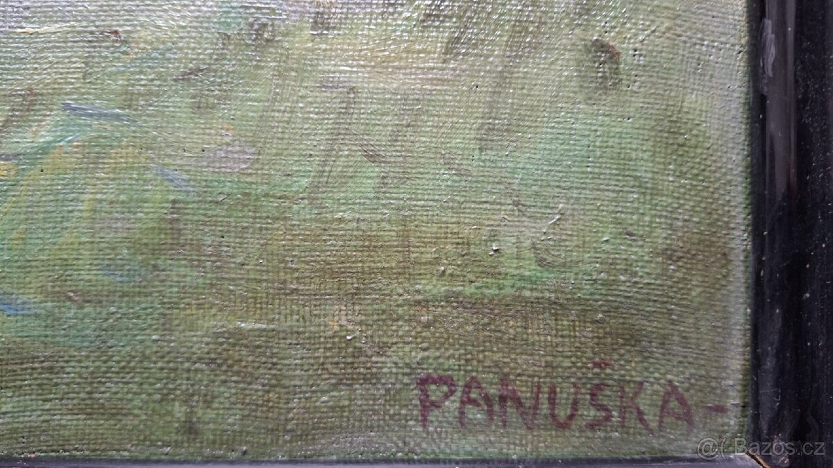 Jaroslav Panuška - 3