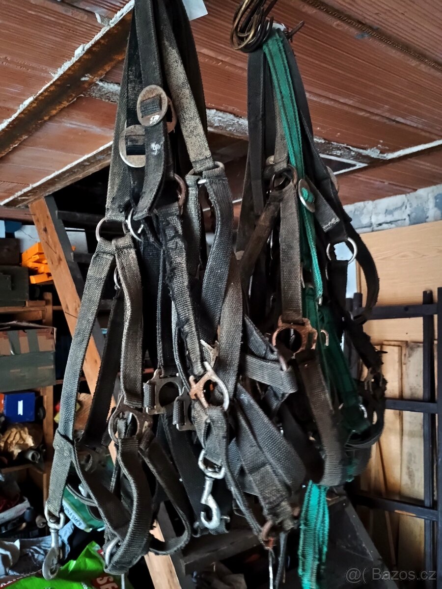 Ohlavka, postroj, sedla, uvazky - 3