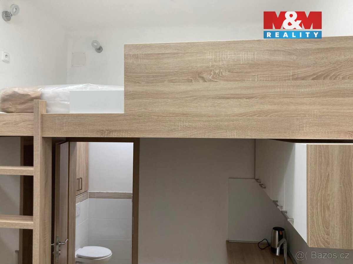 Prodej bytu 1+kk, 20 m², Opava, ul. Alšova - 3