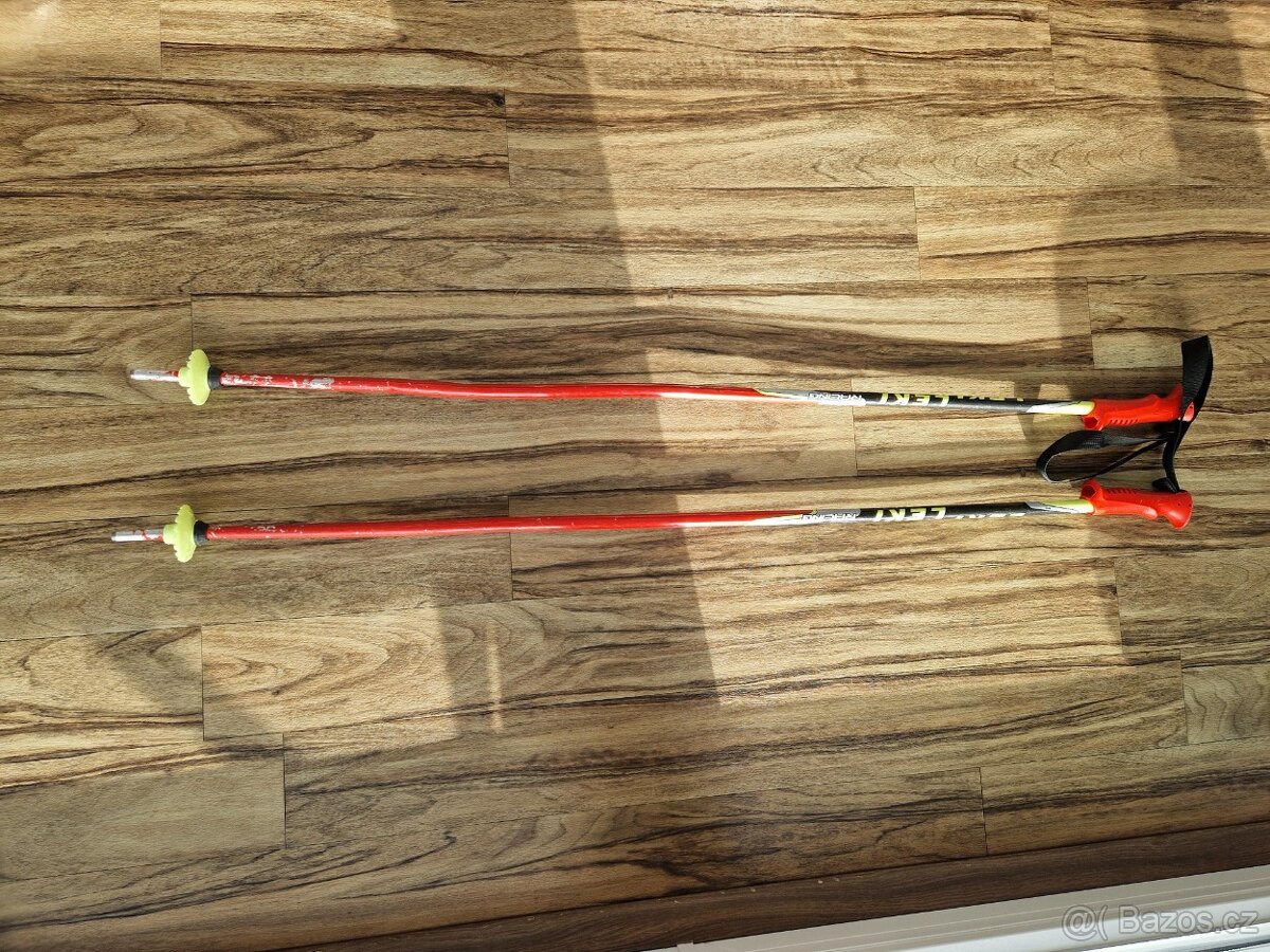 Dětské sjezdařské hůlky Leki 105 cm - 3