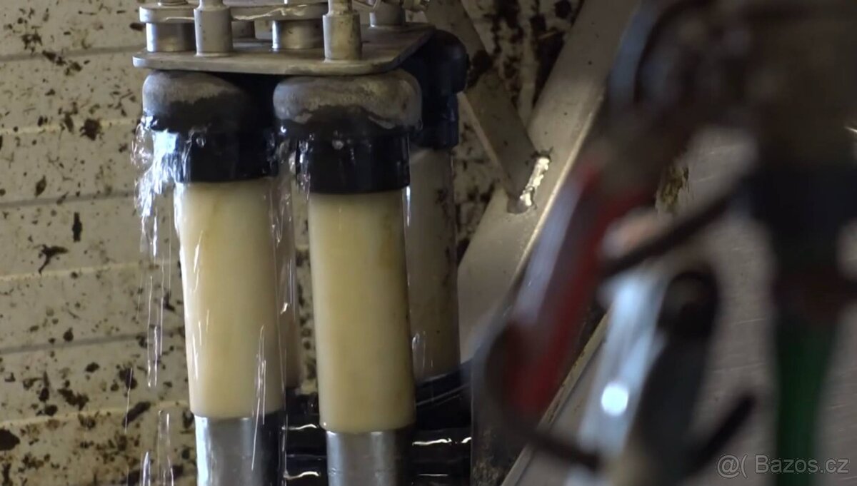 dojicí technika na krávy - 3