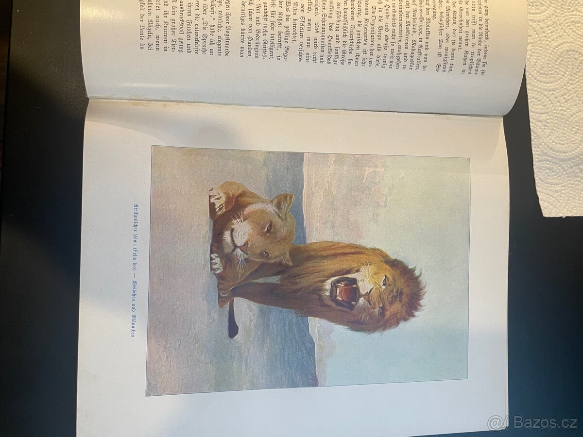 Die Tiere der Ende Prof.Dr. W Marshall - 3