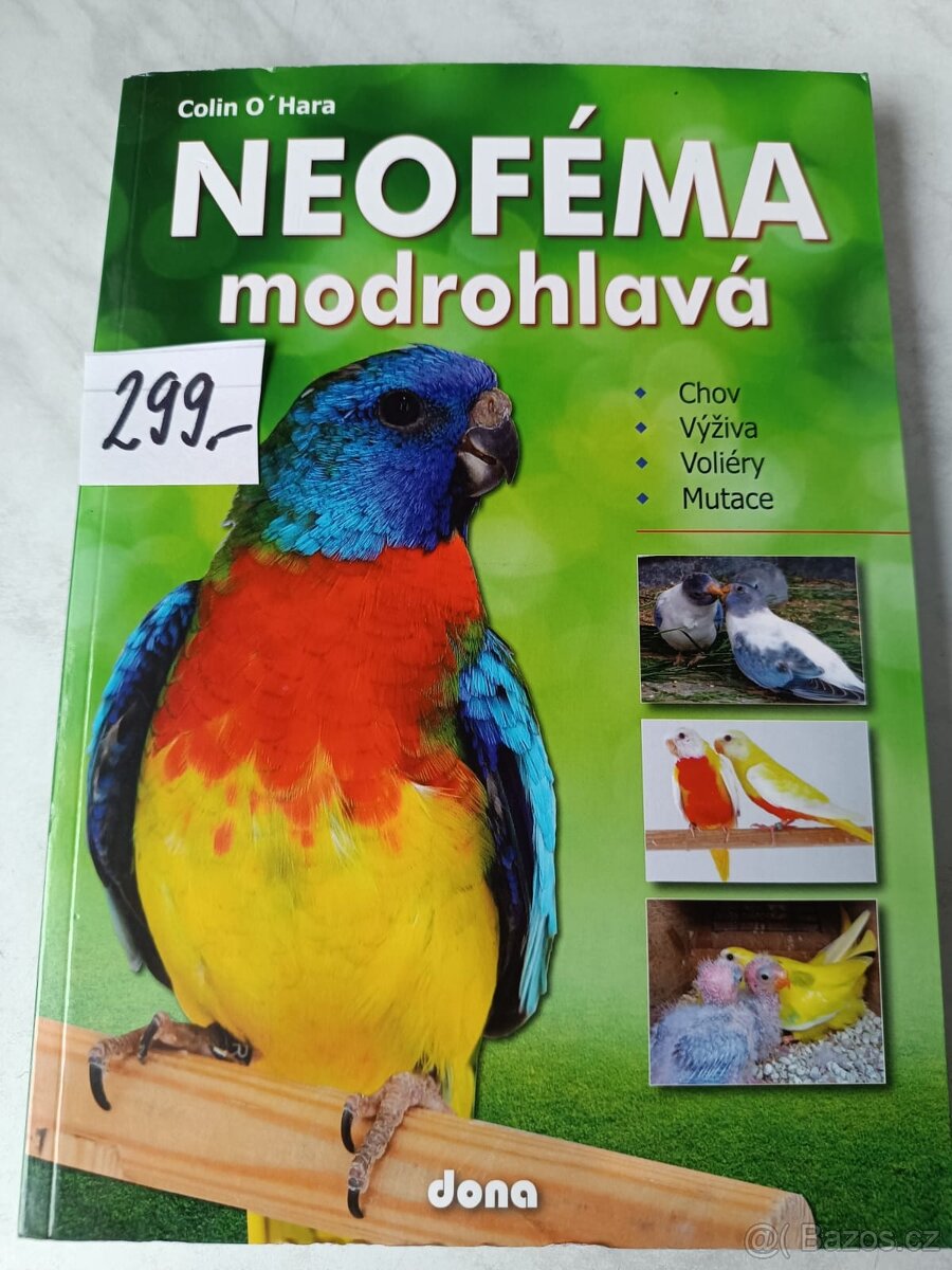 Papoušek dravci sovy ptaci - 3