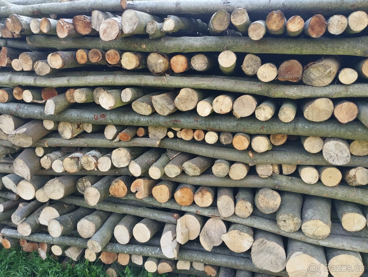PALIVOVÉ DŘEVO - 3