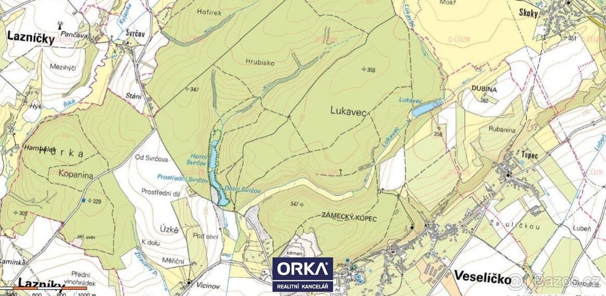 Prodej, Pozemky - trvalý travní porost, 2974m2 - Veselíčko - 3