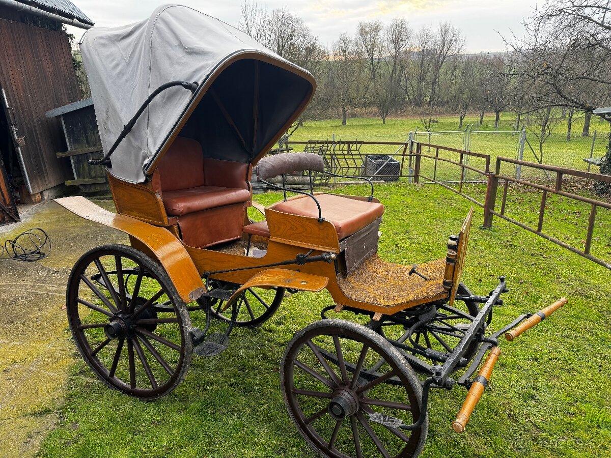 Kočár za koně - 3