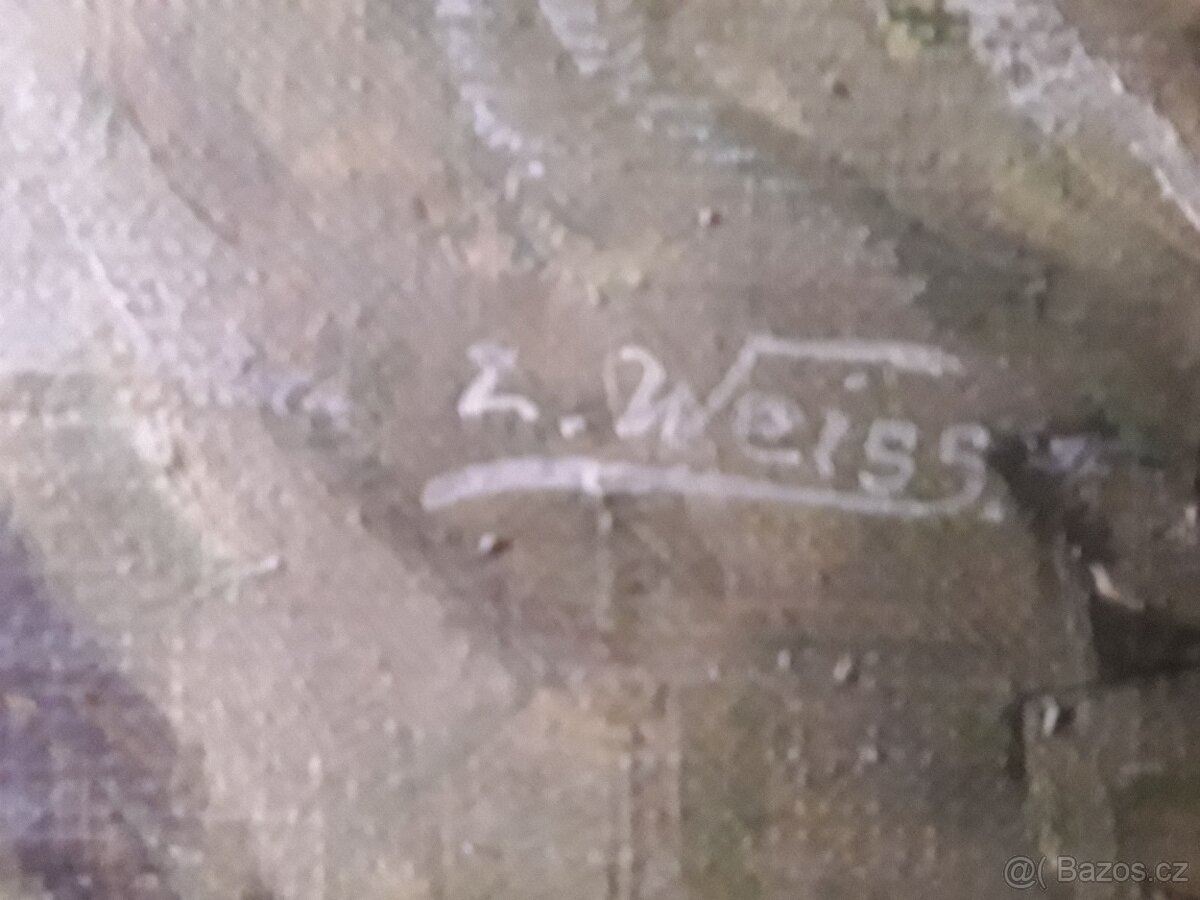 9kartonů knih různých žánrů+ starož.obraz - 3