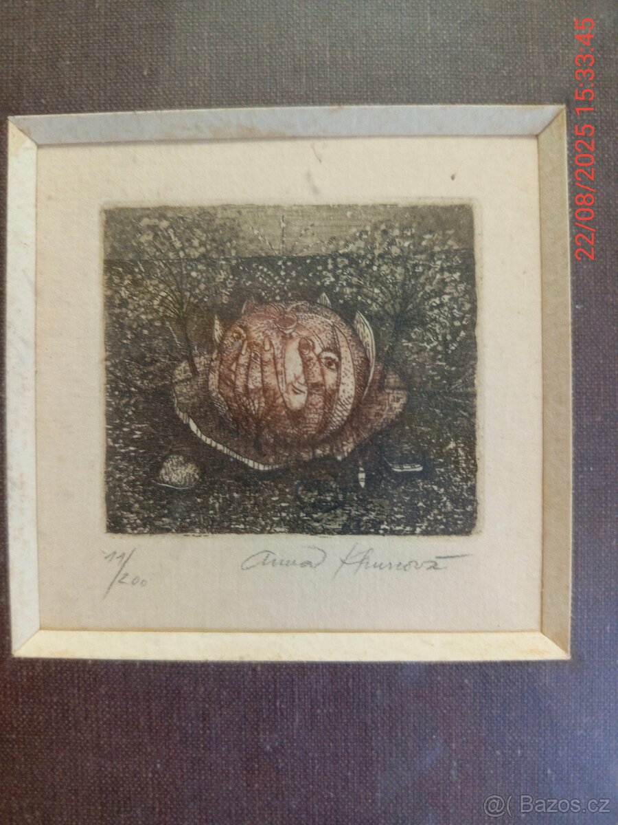 Grafika Anna Khunová. - 3