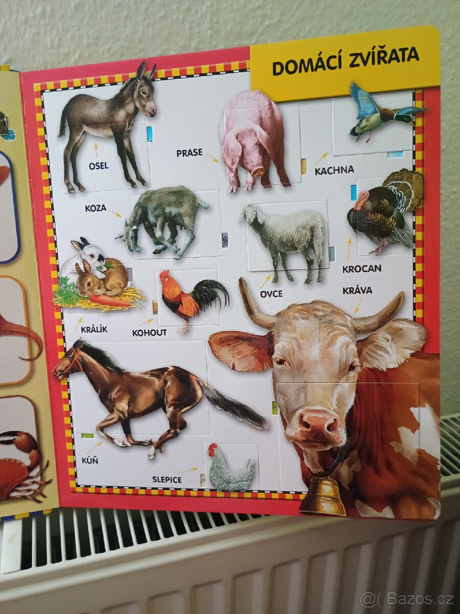 Knížka Zvířata,100 otevíracích okének - 3