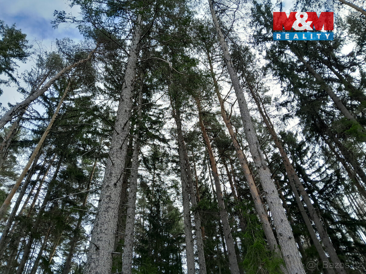 Prodej lesa, 5083 m², Zálezly - Setěchovice - 3