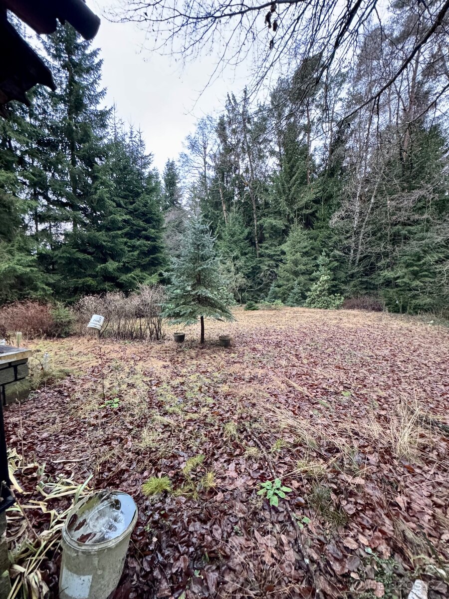 Chata na pronájem - 3