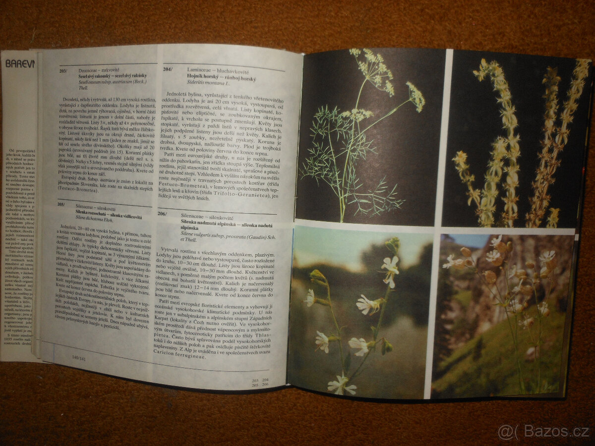 Barevný atlas rostlin - 3
