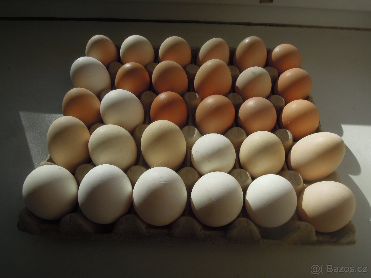 Domácí vajíčka - 3