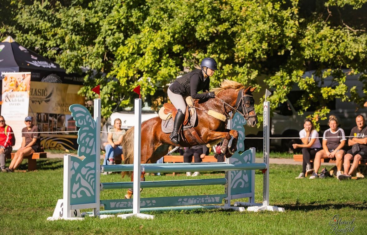 Pony B do sportu - 3