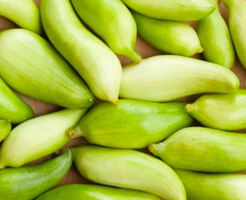 Ačokča, paprikookurka - 3