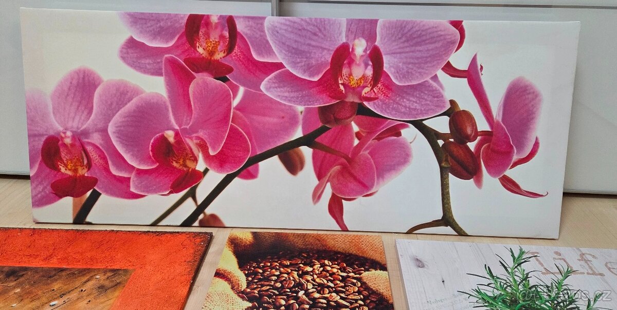 Prodám obrazy dle foto - 3