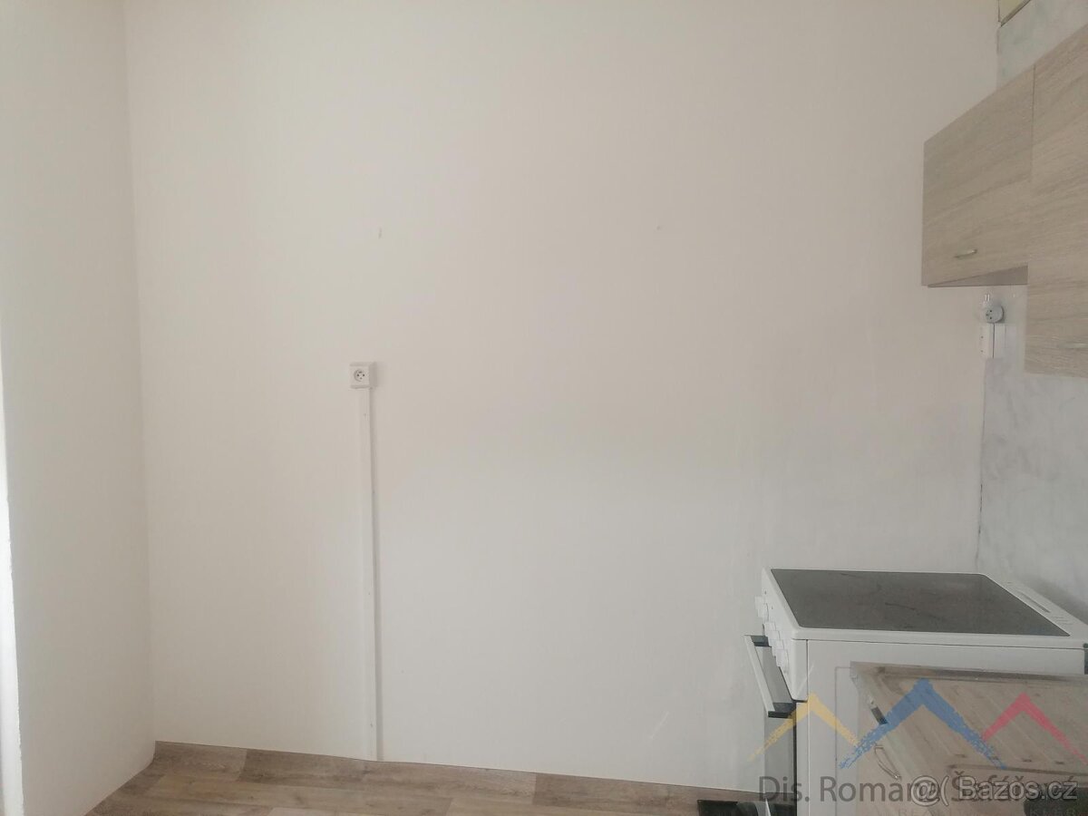 Pronájem bytu 1+1, Břidličná - 3