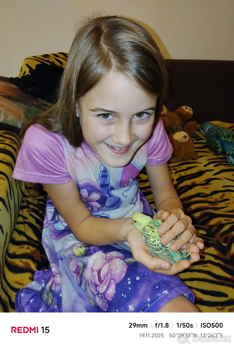 Letošní Andulky - 3