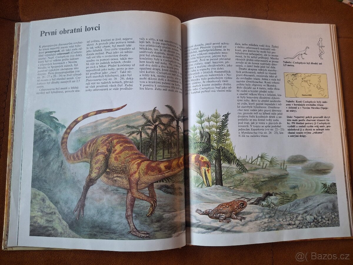 Dětská kniha Dinosauři A4 - 3