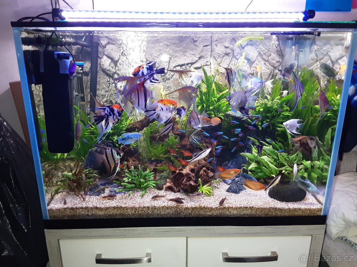 Akvárium sklo optiwhite - 3