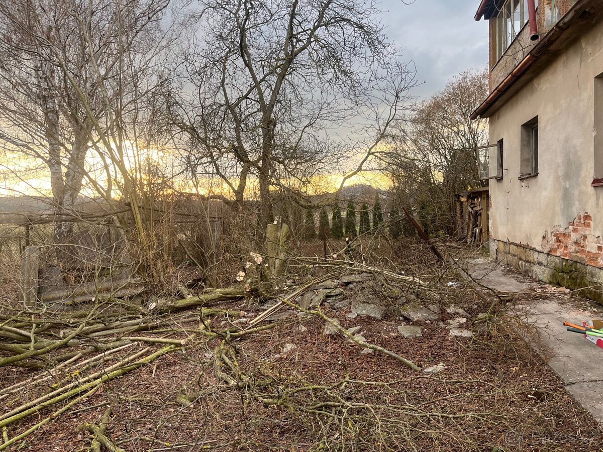 Pokácené dřevo ovocných stromů - 3